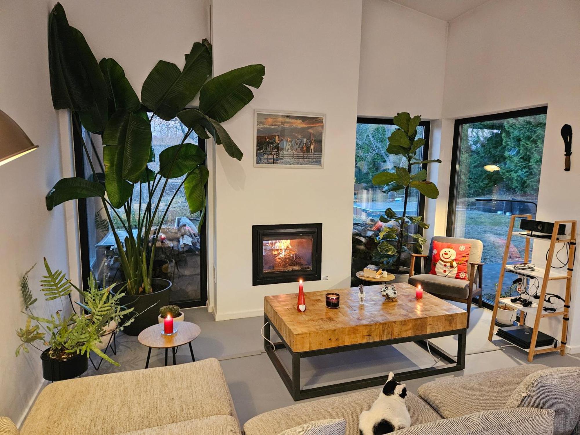 Black Walnut House With Indoor Outdoor Fireplace Izvoarele  Zewnętrze zdjęcie