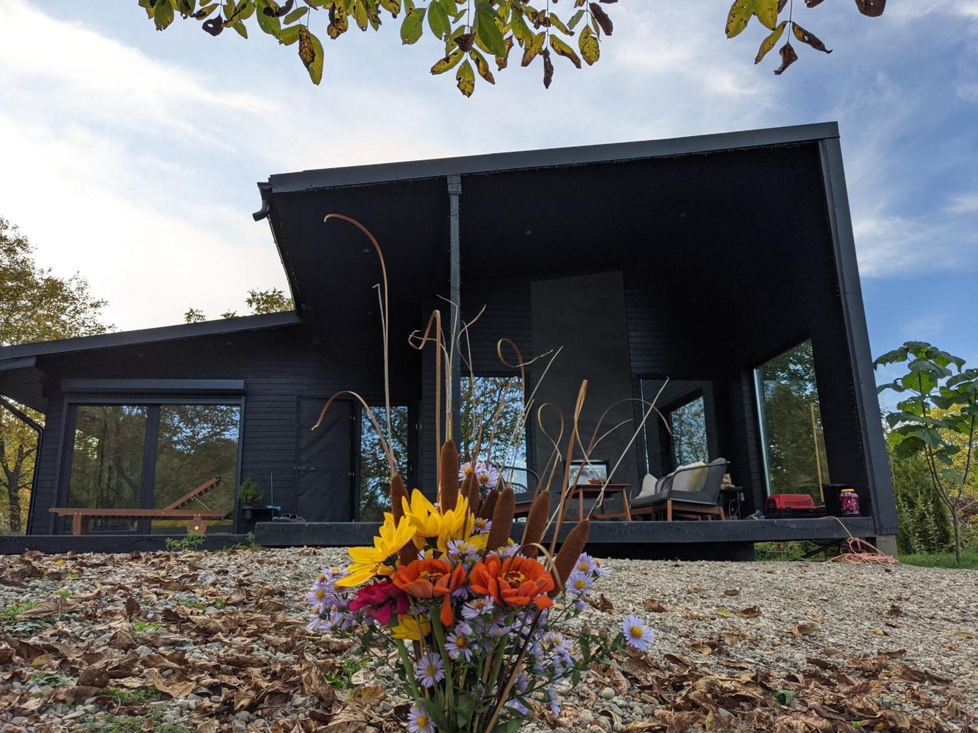 Black Walnut House With Indoor Outdoor Fireplace Izvoarele  Zewnętrze zdjęcie